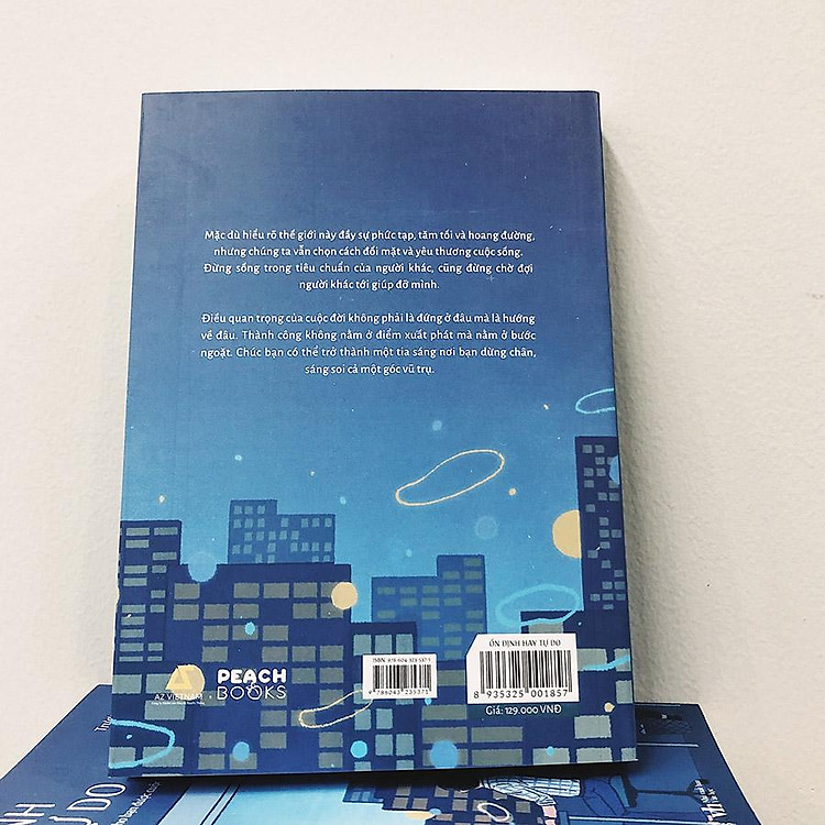 Ổn Định Hay Tự Do - Ảnh 3