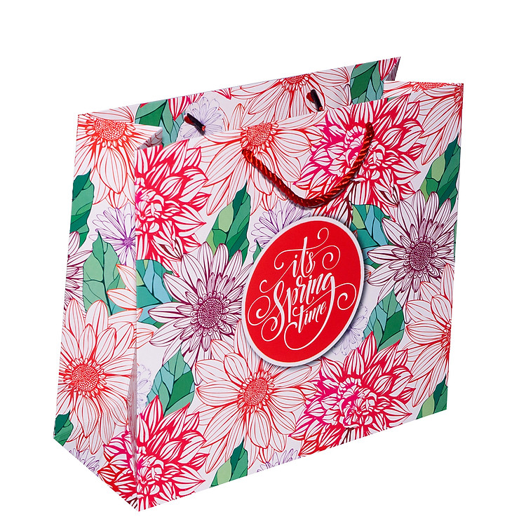 Túi Dây Ngang Lớn TN010 (27 x 30 x 12 cm) - Ảnh 2