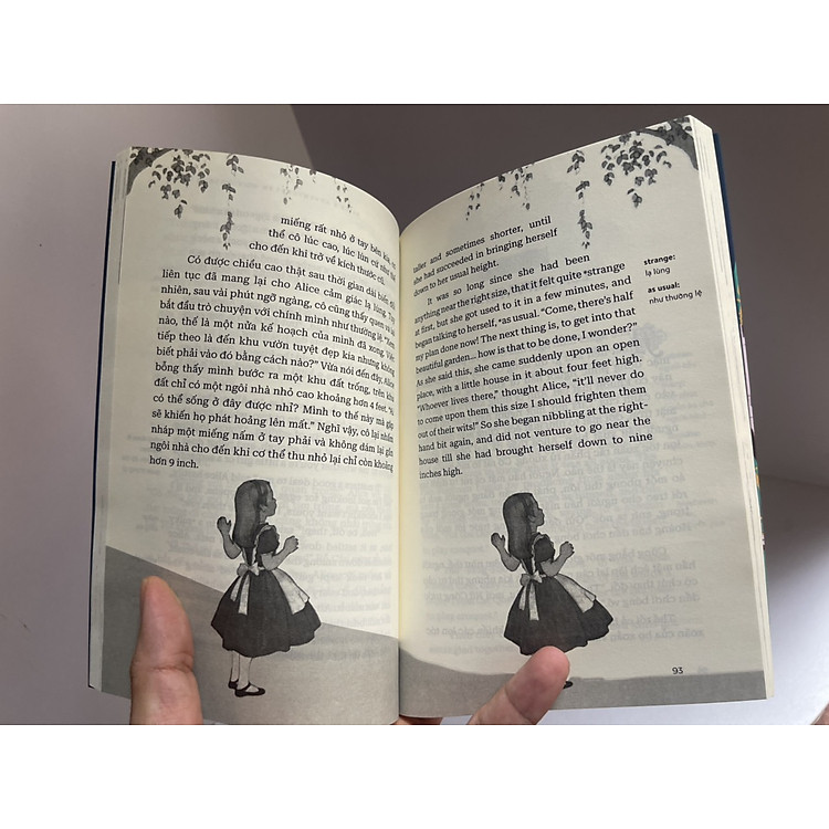 ALICE Ở XỨ SỞ DIỆU KỲ - Ảnh 2