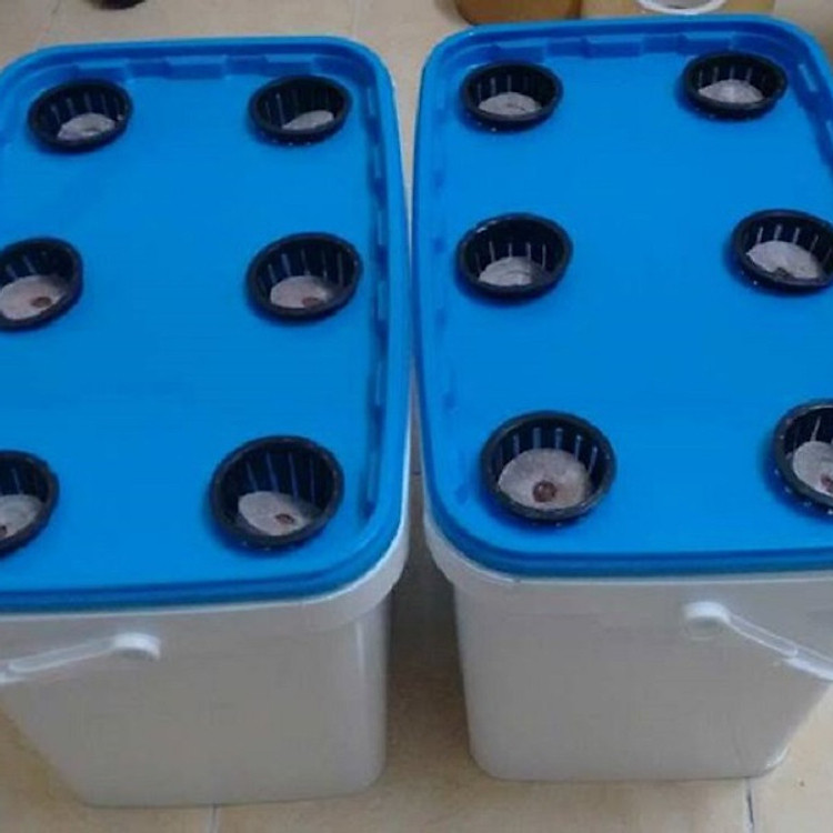 Bộ 2 THÙNG TRỒNG THỦY CANH GROWBOX LEAFTY CHO RAU ĂN LÁ