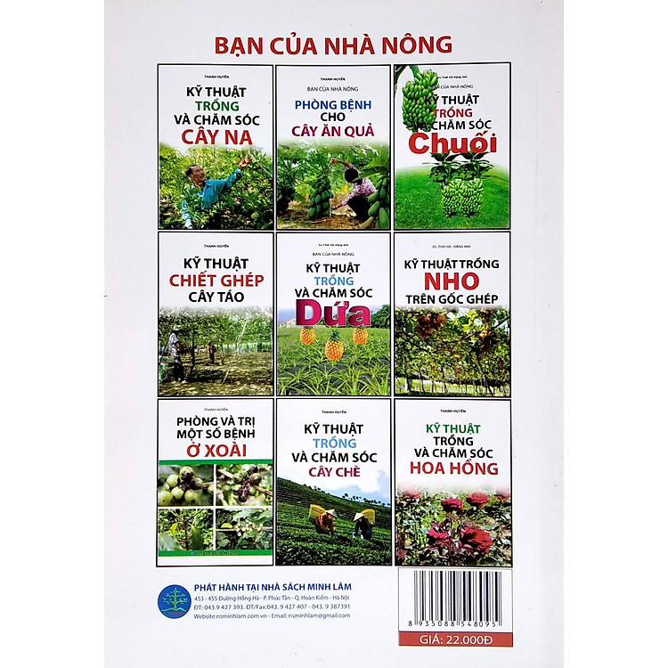 Kỹ Thuật Trồng Dâu Tây - Ảnh 5