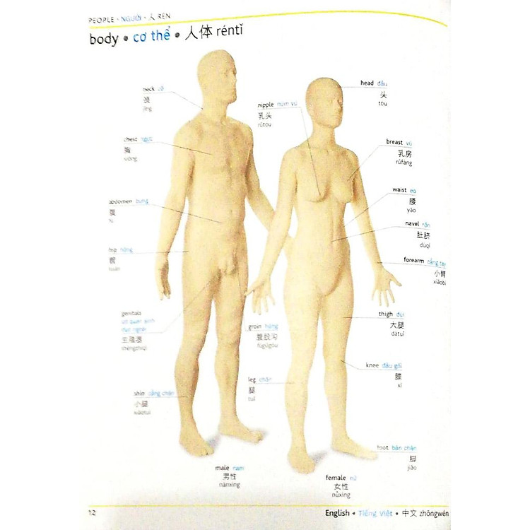Visual English Vietnamese Chinese Trillingual Dictionary - Ảnh 2
