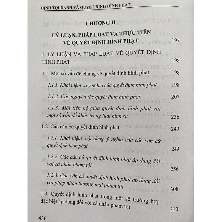 Định Tội Danh và Quyết Định Hình Phạt - Ảnh 5