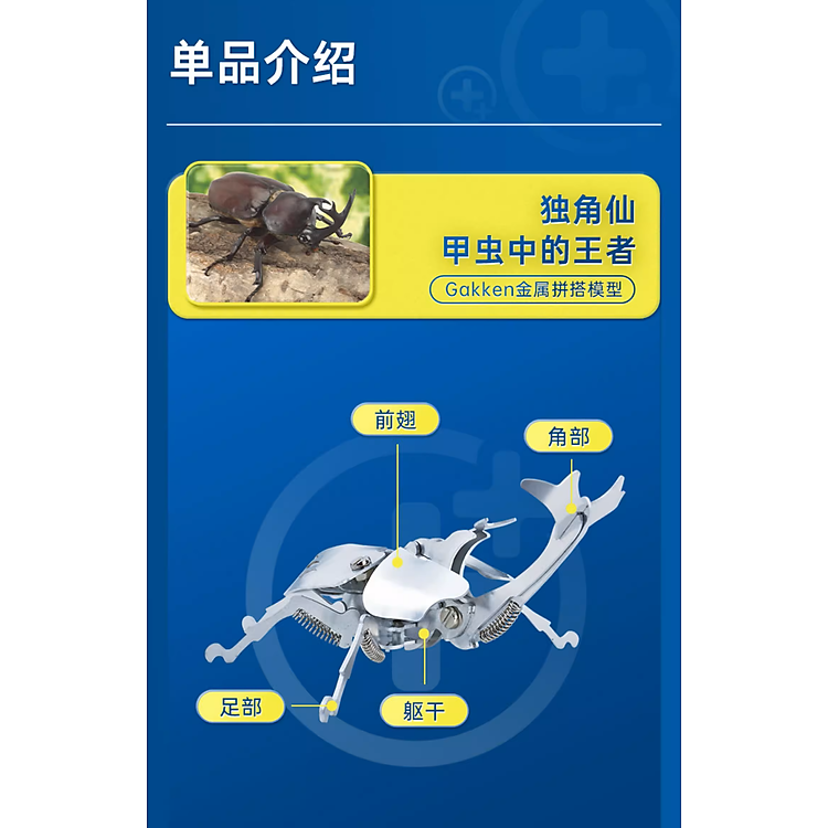 Mua Kit Mô Hình Động Vật Bọ Cánh Cứng Chính hãng Giá tốt - Hình ảnh 4