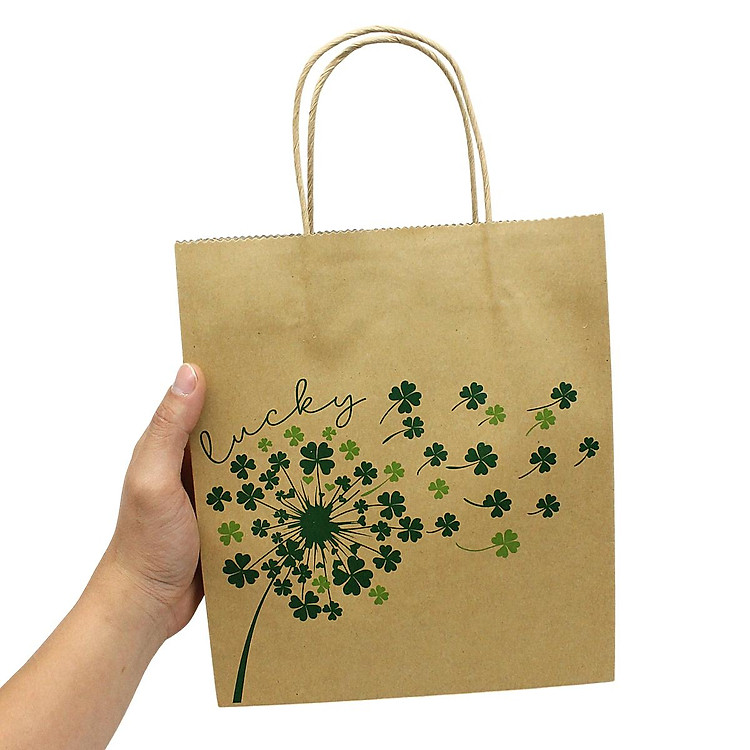 Túi Giấy Kraft (22 x 25 x 8 cm) - Ảnh 4