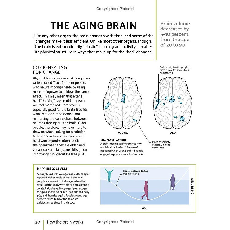 The Brain Fitness Book: Activities And Puzzles To Keep Your Mind Active And Healthy - Ảnh 3