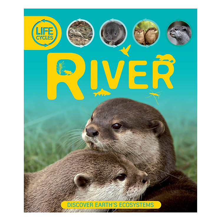 Sách Life Cycles: River