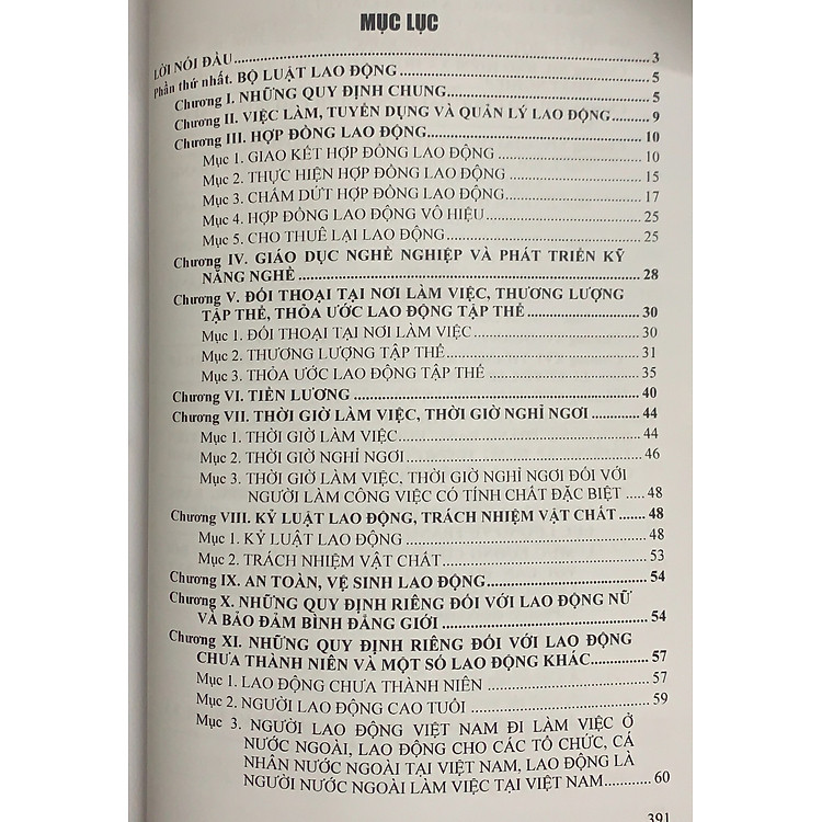 Bộ luật Lao động và Hệ thống thang bảng lương, phụ cấp, chế độ tiền lương, tiền thưởng đối với người hưởng lương - Ảnh 2