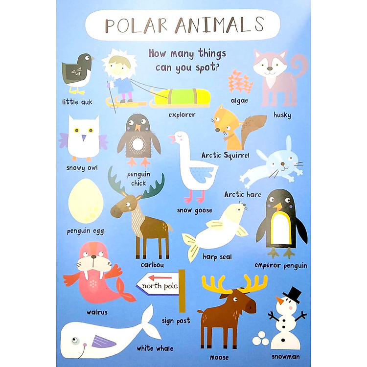 Look & Find: Animals - Ảnh 3