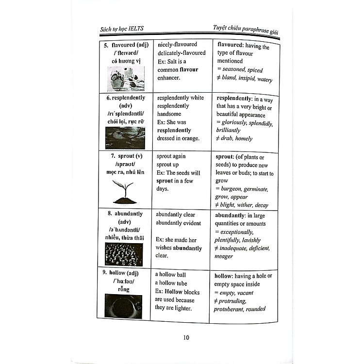 Tuyệt Chiêu Tăng Điểm Ielts Reading - Kho Từ Vựng Paraphrase Giỏi - Ảnh 3