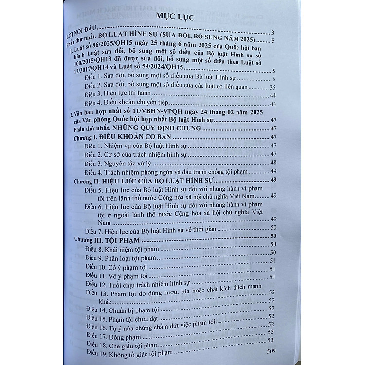 Bộ Luật Hình Sự (Sửa đổi, bổ sung năm 2025) - Ảnh 2