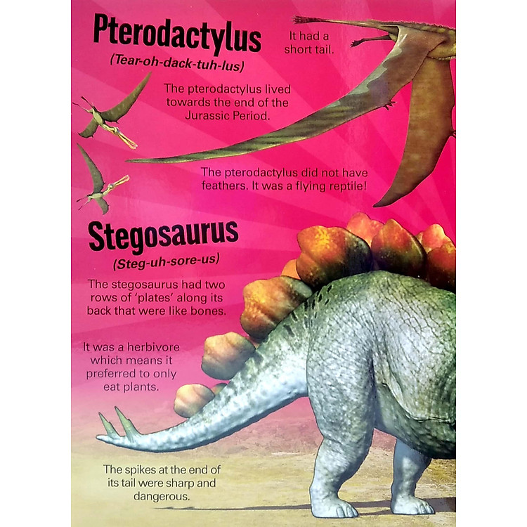 A Mega Sound Book: Roar! 10-Button Sound Book - Ảnh 5