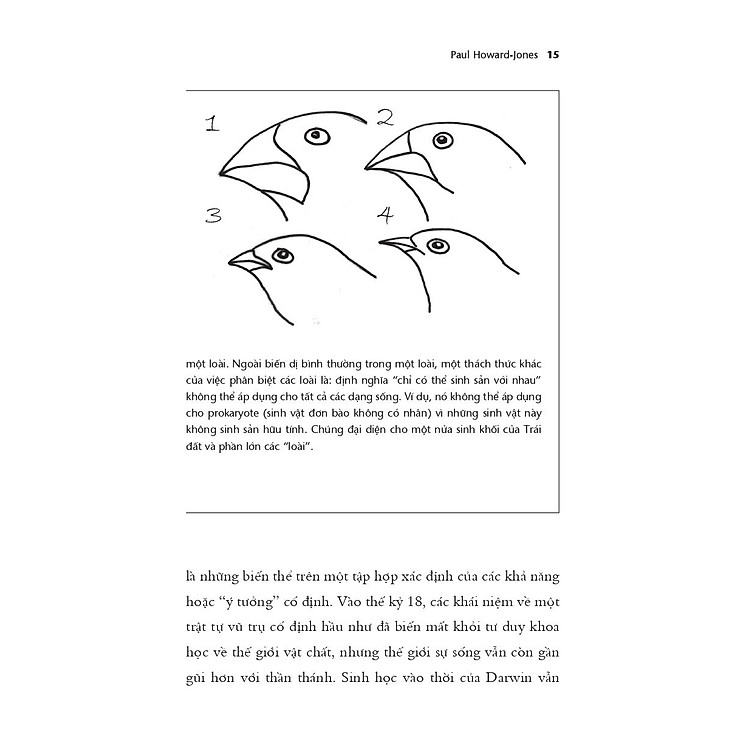 Não Bộ Không Ngừng Tiến Hóa: Trí Thông Minh Của Bạn Đến Từ Đâu? - Ảnh 3