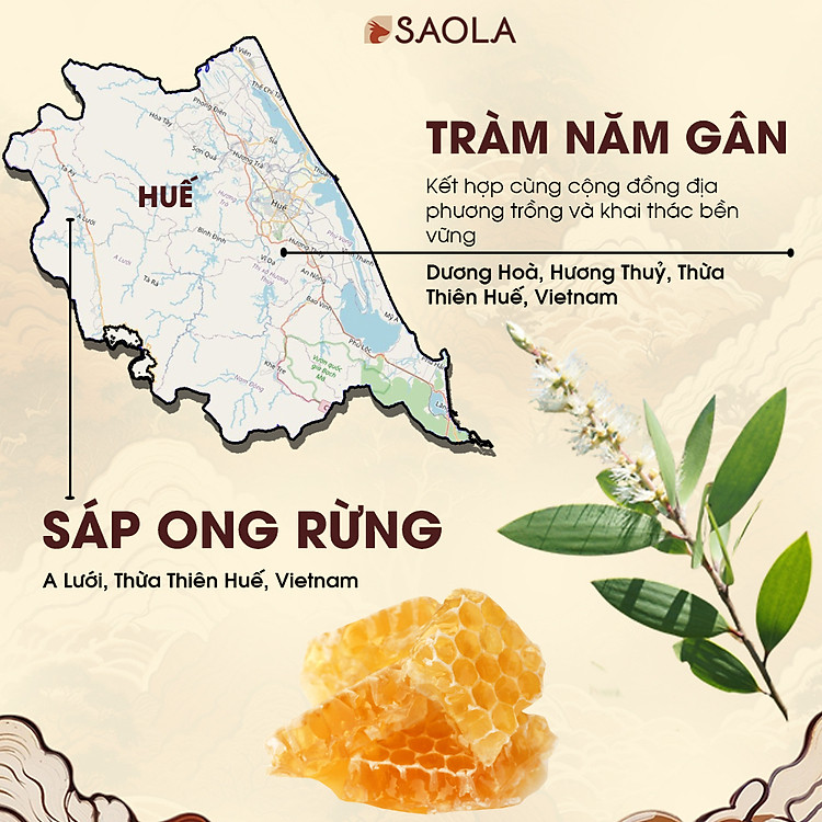Cao Tràm Sao 11g - Balsam Thiên Nhiên Chính hãng Tiết kiệm - Hình ảnh 5
