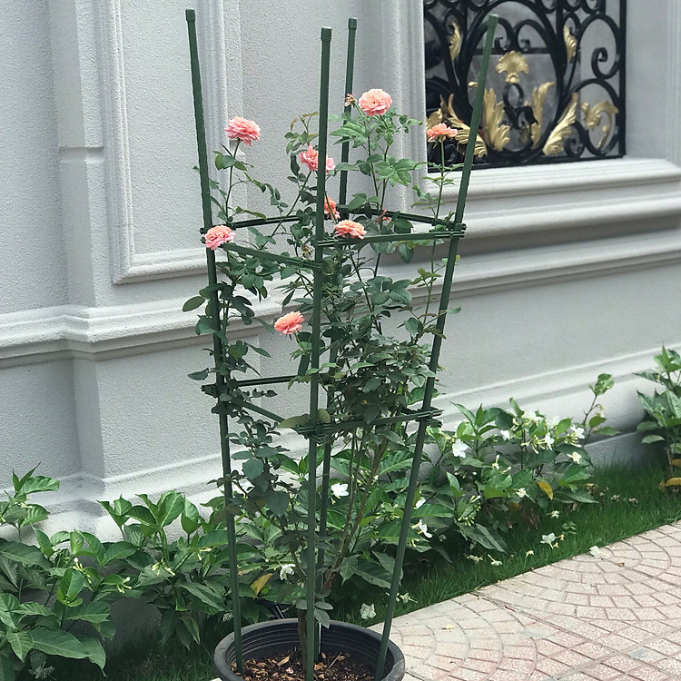 COMBO 2 KHUNG TRỒNG CÂY HÌNH TỨ GIÁC làm từ ống tre thép bọc nhựa IBO và thanh liên kết Sapoto - Dùng làm khung, giàn cho hoa hồng leo, cây hoa leo