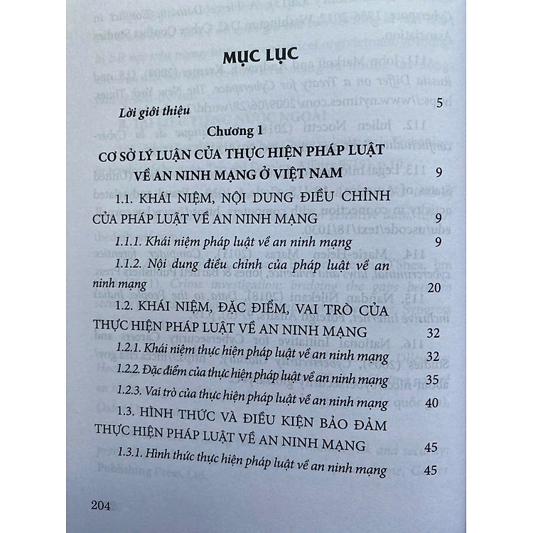 Thực Hiện Pháp Luật Về An Ninh Mạng Ở Việt Nam - Ảnh 5