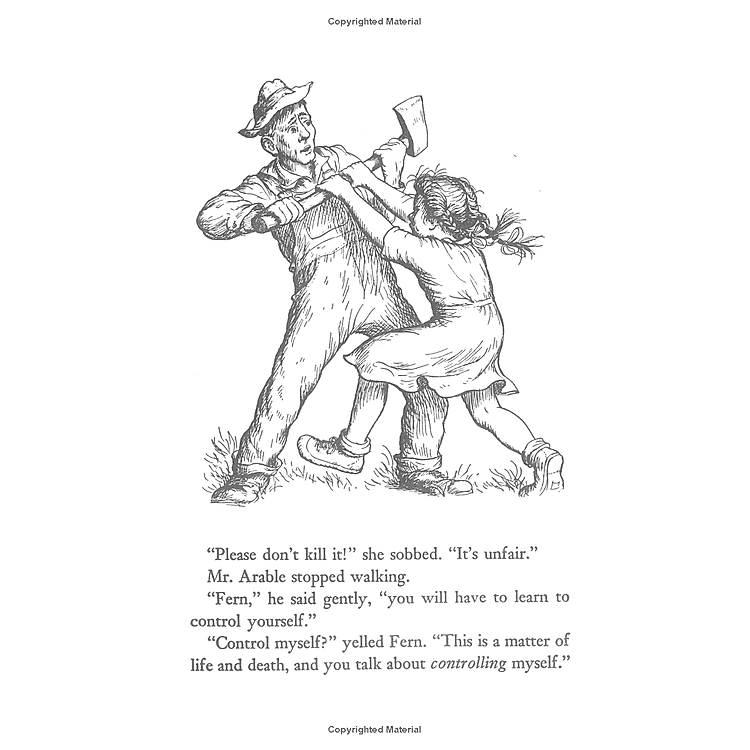 Truyện đọc tiếng Anh - Charlotte's Web - Ảnh 4