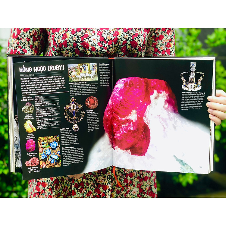 Đ.á quý và khoáng sản, Bảng tuần hoàn hóa học - Tổng hợp kiến thức bách khoa cho mọi lứa tuổi - Ảnh 4