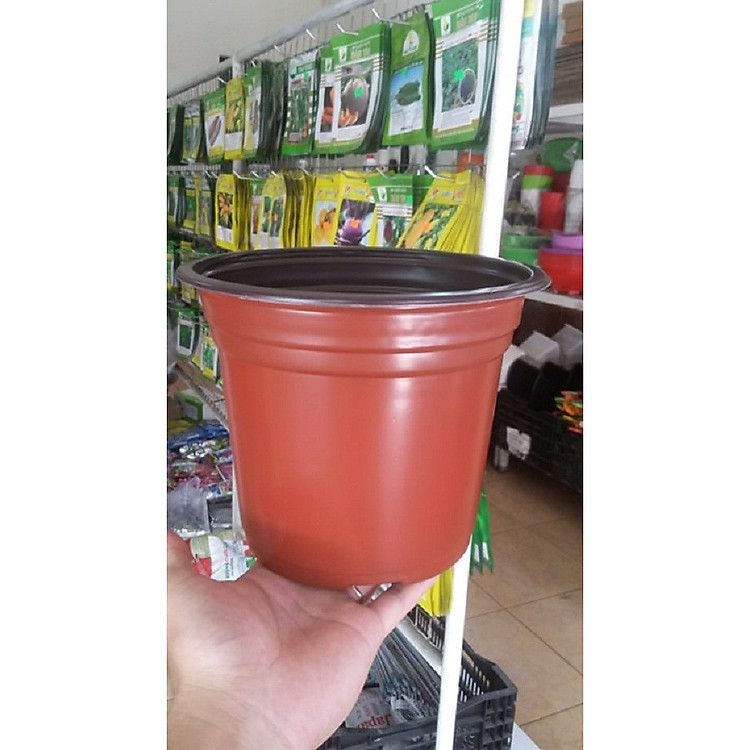 Combo 50 chậu nhựa mỏng trồng cây 15x12cm màu nâu TTK150