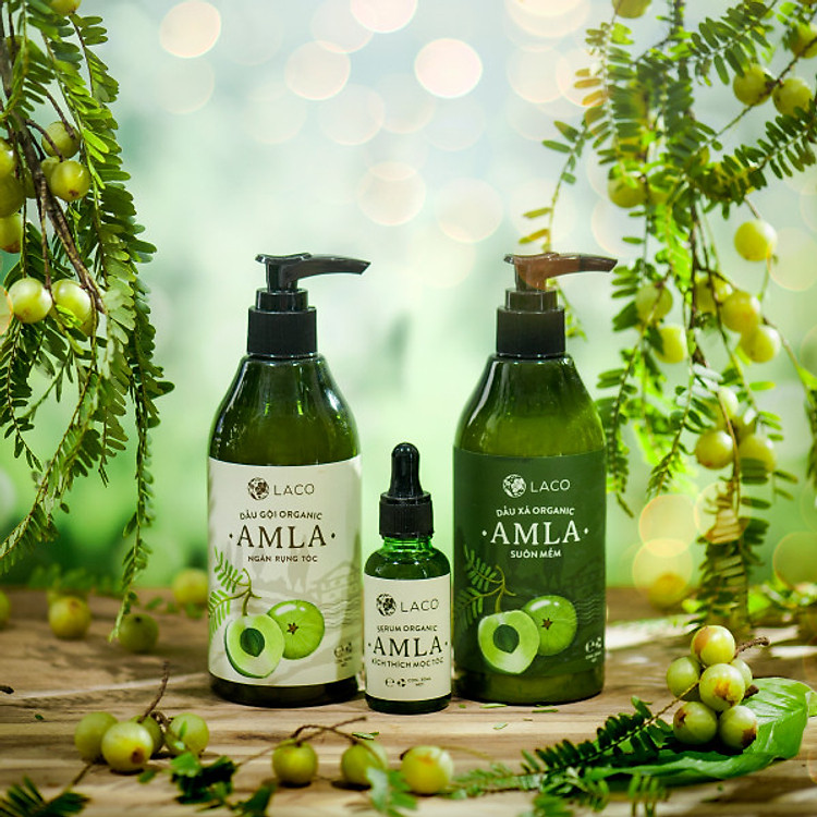 Bộ Gội - Xã - Serum ngăn rụng tóc AMLA LACO