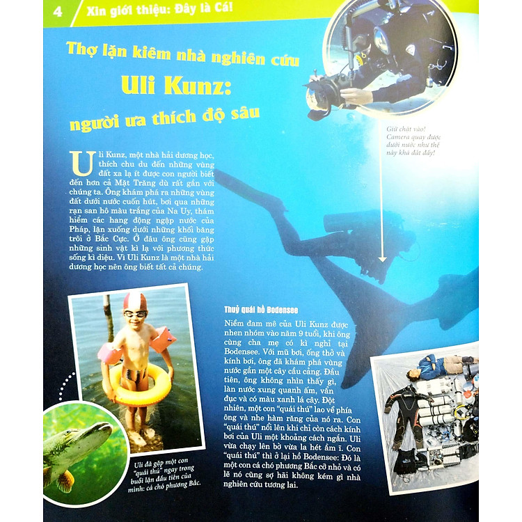 Thế Nào Và Tại Sao - Các Loài Cá - Thế Giới Diệu Kì Dưới Nước (Tái Bản 2023) - Ảnh 7