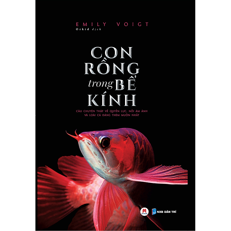 Con Rồng Trong Bể Kính - Câu Chuyện Thật Về Quyền Lực, Nỗi Ám Ảnh Và Loài Cá Đáng Thèm Muốn Nhất