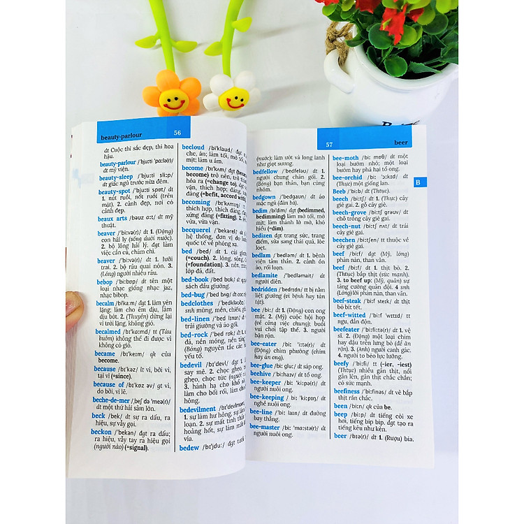 Từ điển Anh - Việt 100.000 từ (B124) - Ảnh 7