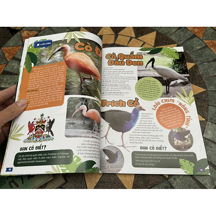 THẢO CẦM VIÊN SÀI GÒN - Kho Báu Trong Lòng Thành Phố - Ảnh 4