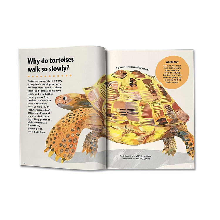 Britannica First Big Book Of Why - Ảnh 3