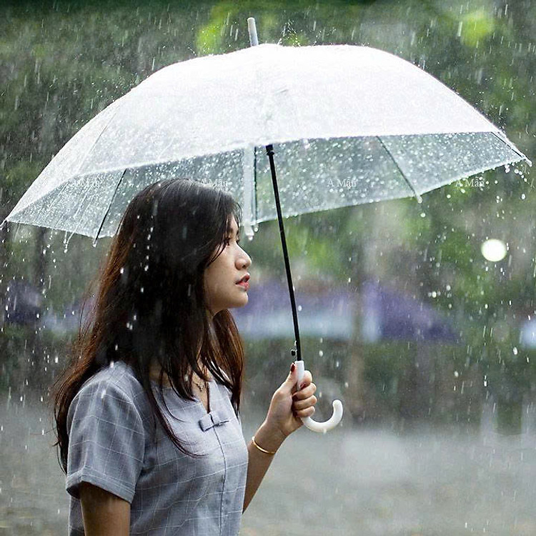 Ô đi mưa trong suốt - dù che mưa che nắng trong suốt, bền- đẹp