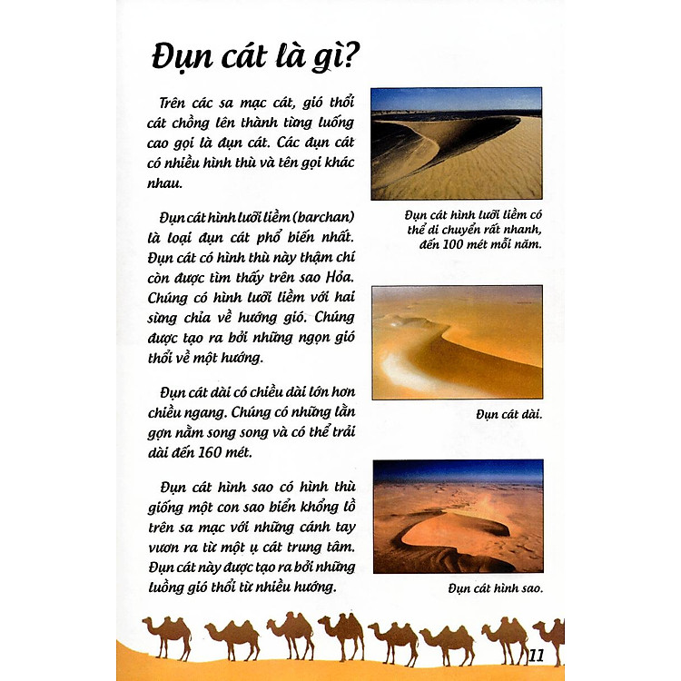 Khoa Học Cứu Mạng - Phiêu Lưu Trong Sa Mạc - Ảnh 6