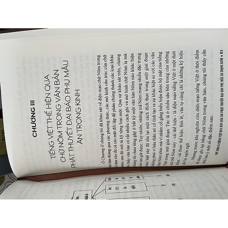 Chữ Nôm và Tiếng Việt qua Bản Giải Âm Phật Thuyết Đại Báo Phụ Mẫu Ân Trọng Kinh - Ảnh 7