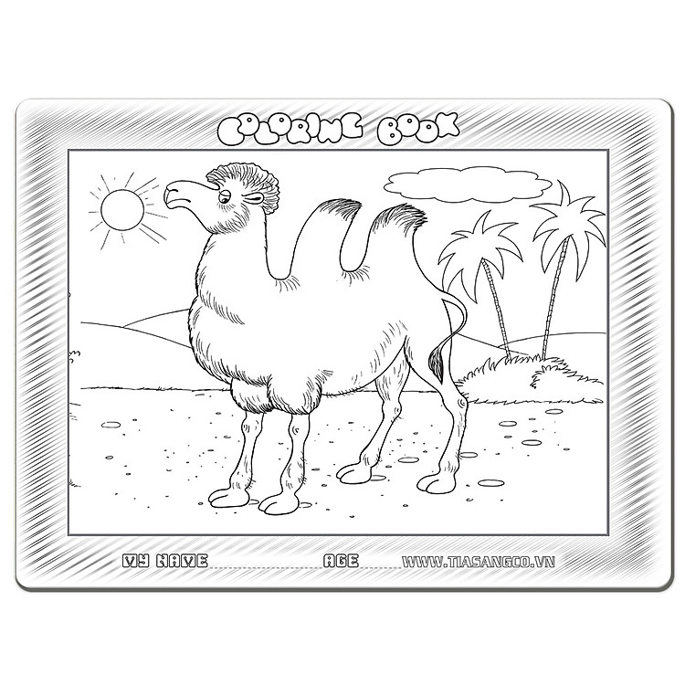 Xếp hình Tia Sáng Lạc Đà 30 Mảnh Chính hãng Tiết kiệm - Hình ảnh 2