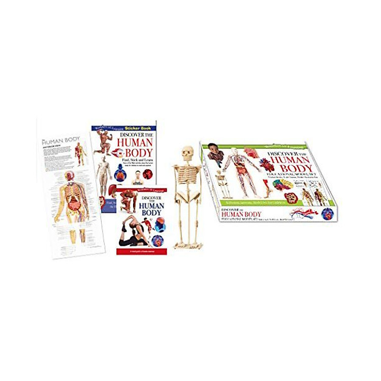 Wol Model Set - Human Body - Ảnh 4