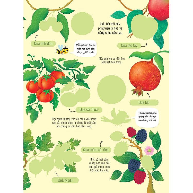 First Sticker Book - Sách Dán Hình Đầu Đời Cho Bé - Trái Cây Và Rau Củ - Ảnh 7