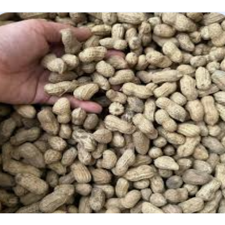 1kg Đậu Phộng (Lạc) khô nguyên vỏ loại ngon dùng cho vẹt trung và to ăn (người ăn được)