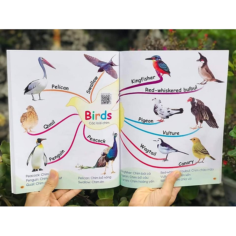 CHINH PHỤC TỪ VỰNG TIẾNG ANH - THEO SƠ ĐỒ TƯ DUY MIND MAP (Dành cho trẻ em từ 1 – 10 tuổi) - Ảnh 5