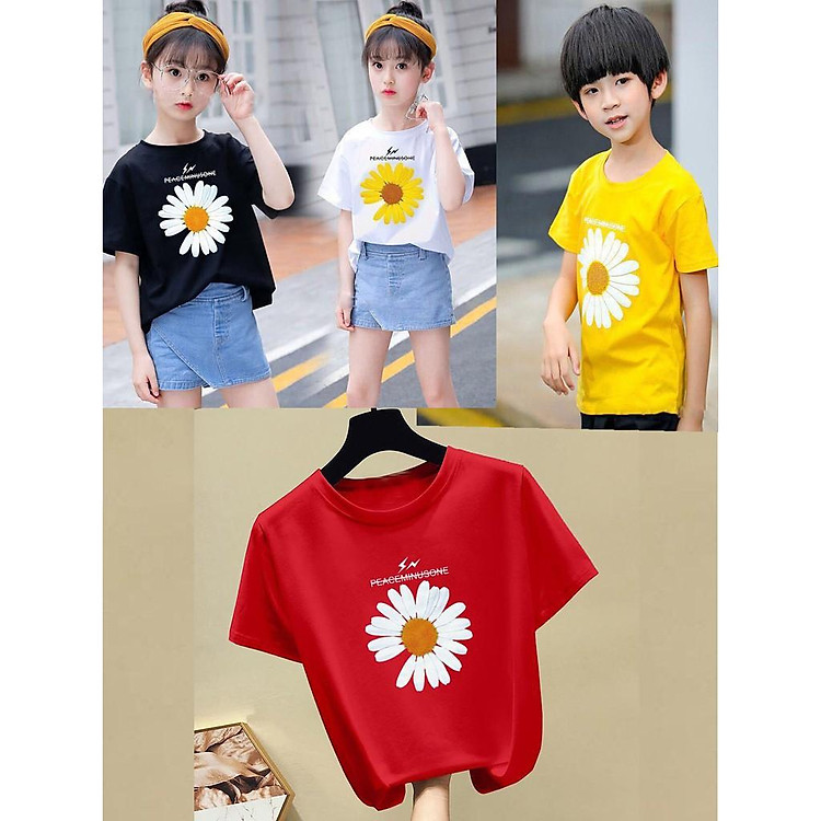 COMBO 4 ÁO thun trẻ em ( trai và gái).áo hoa cúc siêu hót cho bé từ 6kg-30kg.-AOLE06.