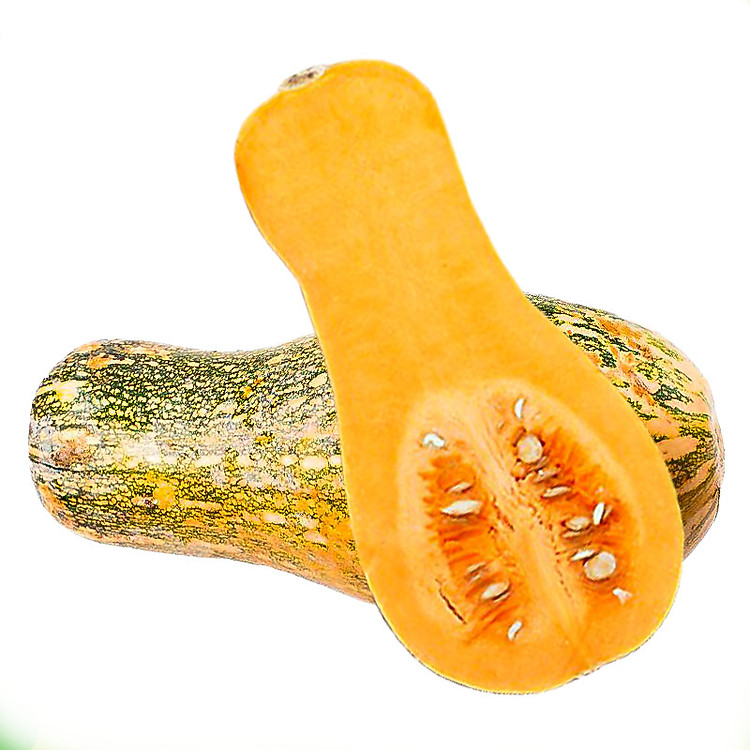 Bí nghệ 0.7 - 1kg - 13770