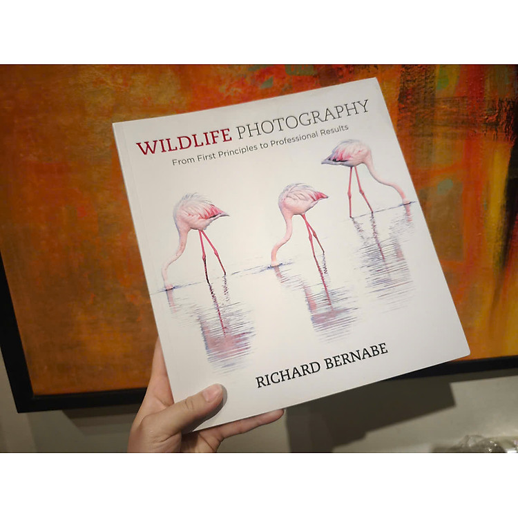 Wildlife Photography by Richard Bernabe - From First Principles To Professional Results - Ảnh 3