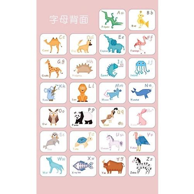 Mua ALPHABET PAIRED CARD - Thẻ chữ cái và số Chính hãng Ưu đãi - Hình ảnh 3