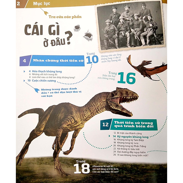 Thế Nào Và Tại Sao - Khủng Long - Trong Đế Chế Của Các Loại Bò Sát Cổ - Ảnh 3