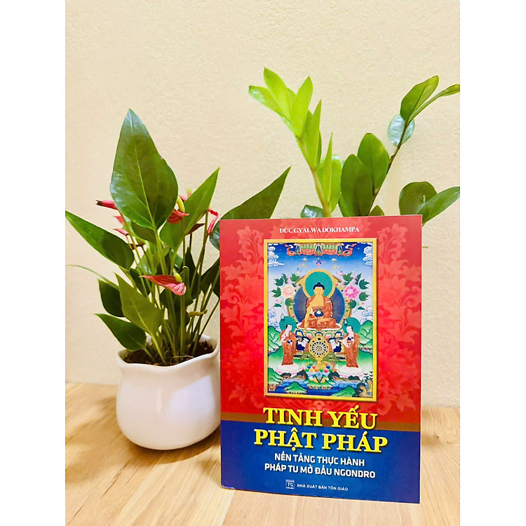 Tinh yếu Phật Pháp – Nền Tảng Thực Hành Pháp Tu Mở Đầu Ngondro