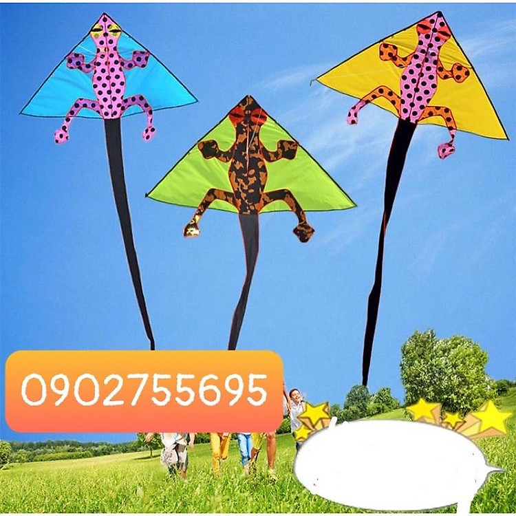 Diều 3D TẮC KÈ màu ngẫu nhiên - TẶNG TAY CẦM THẢ DIỀU LỚN DÀI 150 MÉT DÂY + TÚI VẢI ĐỰNG diều độc lạ