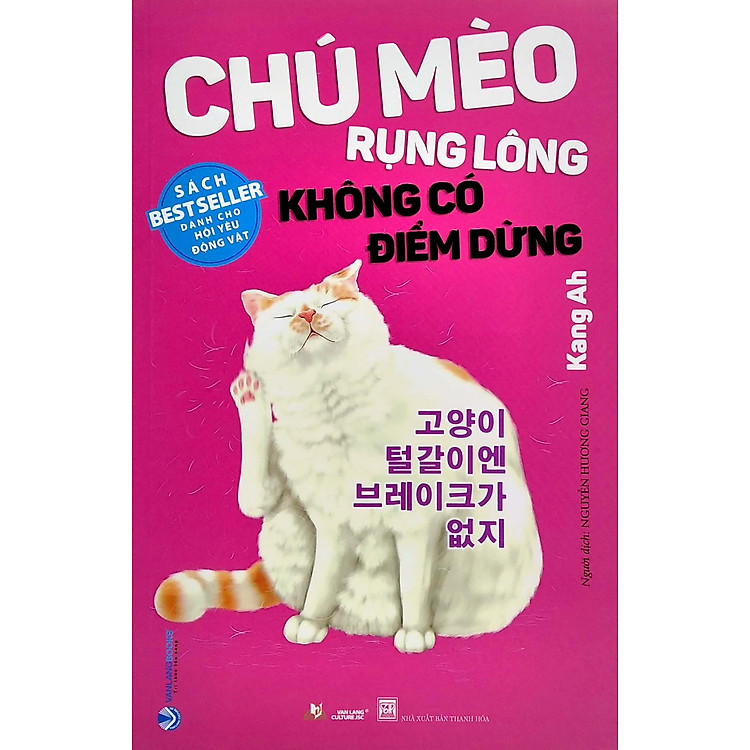 Chú Mèo Rụng Lông Không Có Điểm Dừng - Ảnh 3