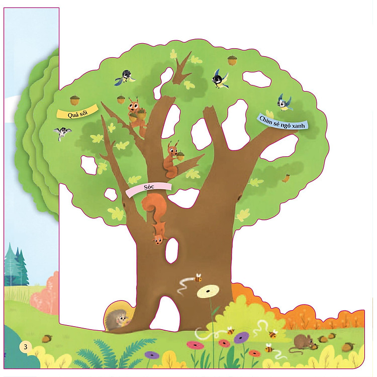 Tò Mò Muốn Biết… Trên Cây Cao - Ảnh 4