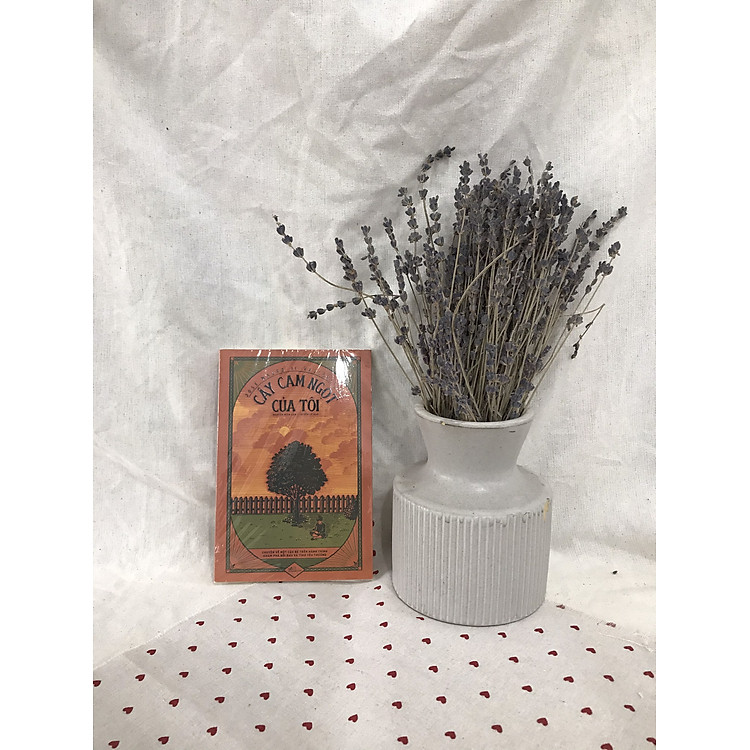 Cây cam ngọt của tôi