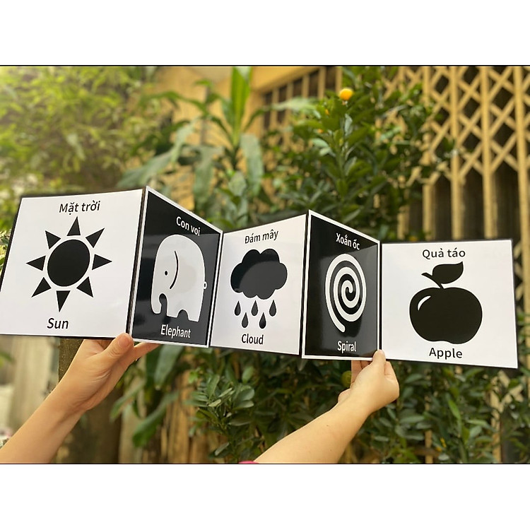Thẻ kích thích thị giác cho trẻ sơ sinh Chính hãng Tiết kiệm - Hình ảnh 4