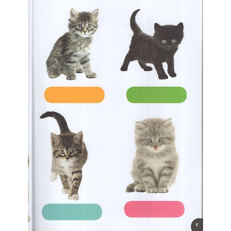 Baby Animals Sticker Activities - Ảnh 6