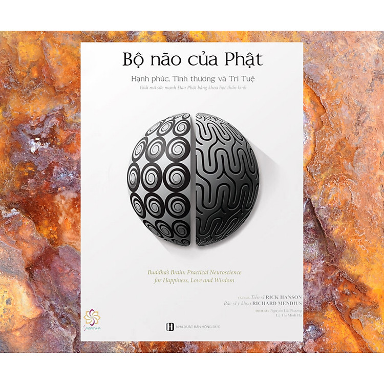 Bộ Não Của Phật - Ảnh 3